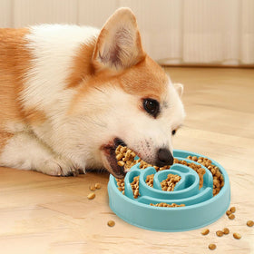 Anti-Gulping Slow Feeding Bowl